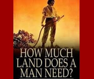 what does the story how much land does a man need? focus on?
